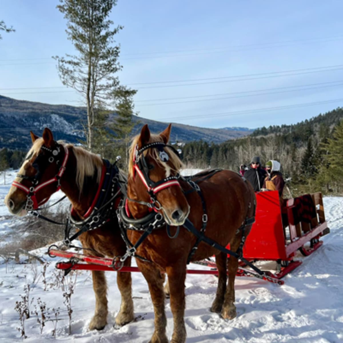 les_montagnards_de_charlevoix_2_h