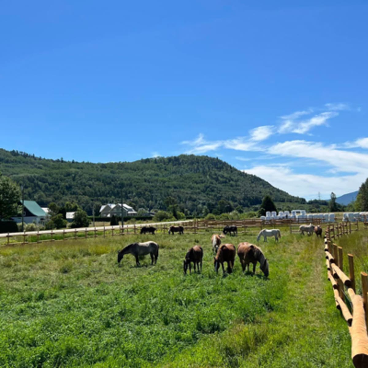les_montagnards_de_charlevoix_3