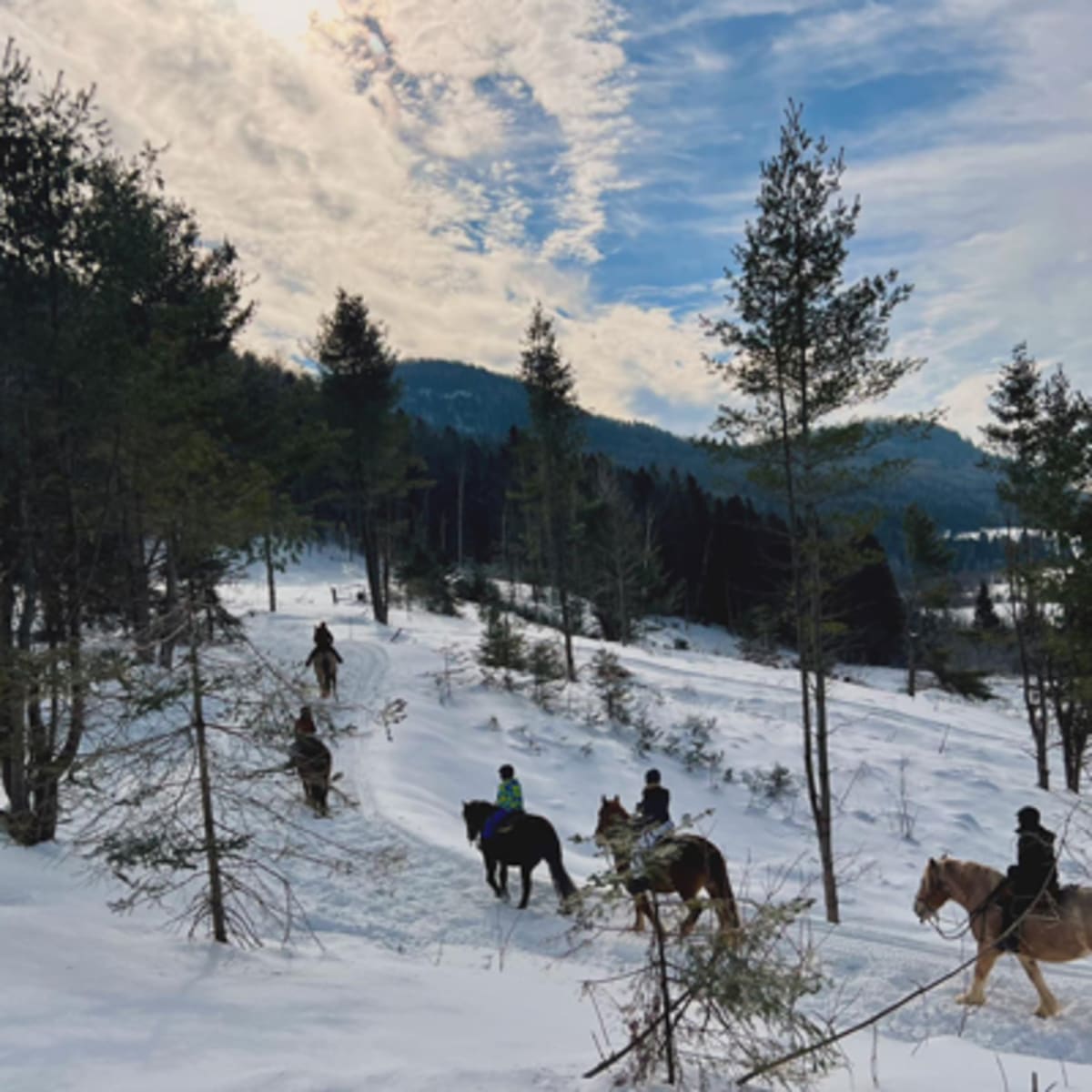 les_montagnards_de_charlevoix_5_h