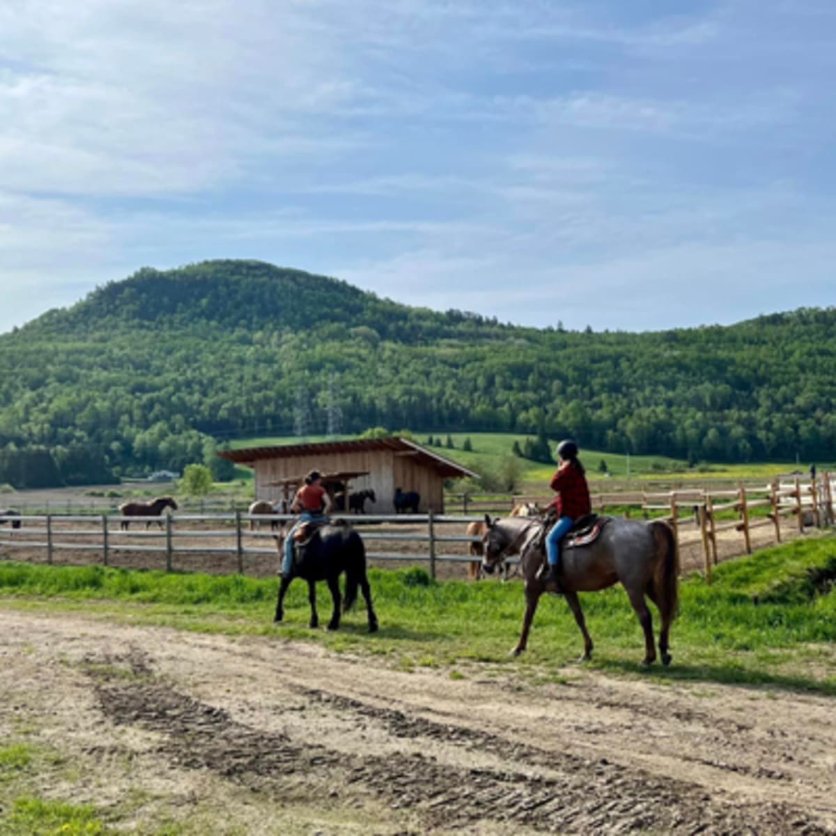 les_montagnards_de_charlevoix_6