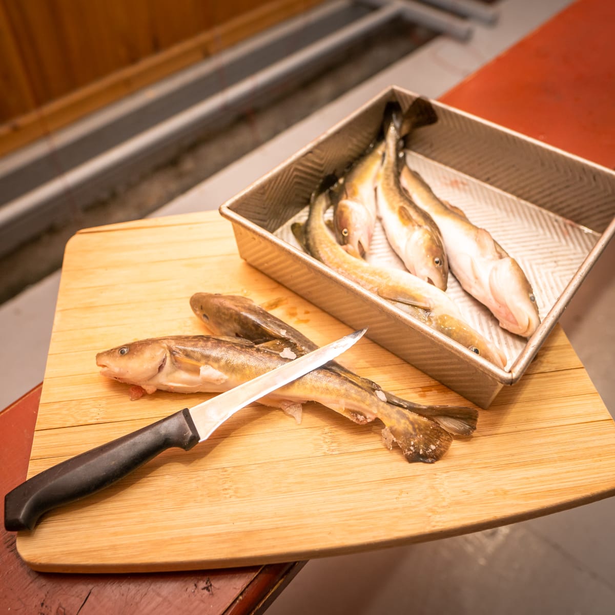 les_petits_poissons_des_chenaux_13_h