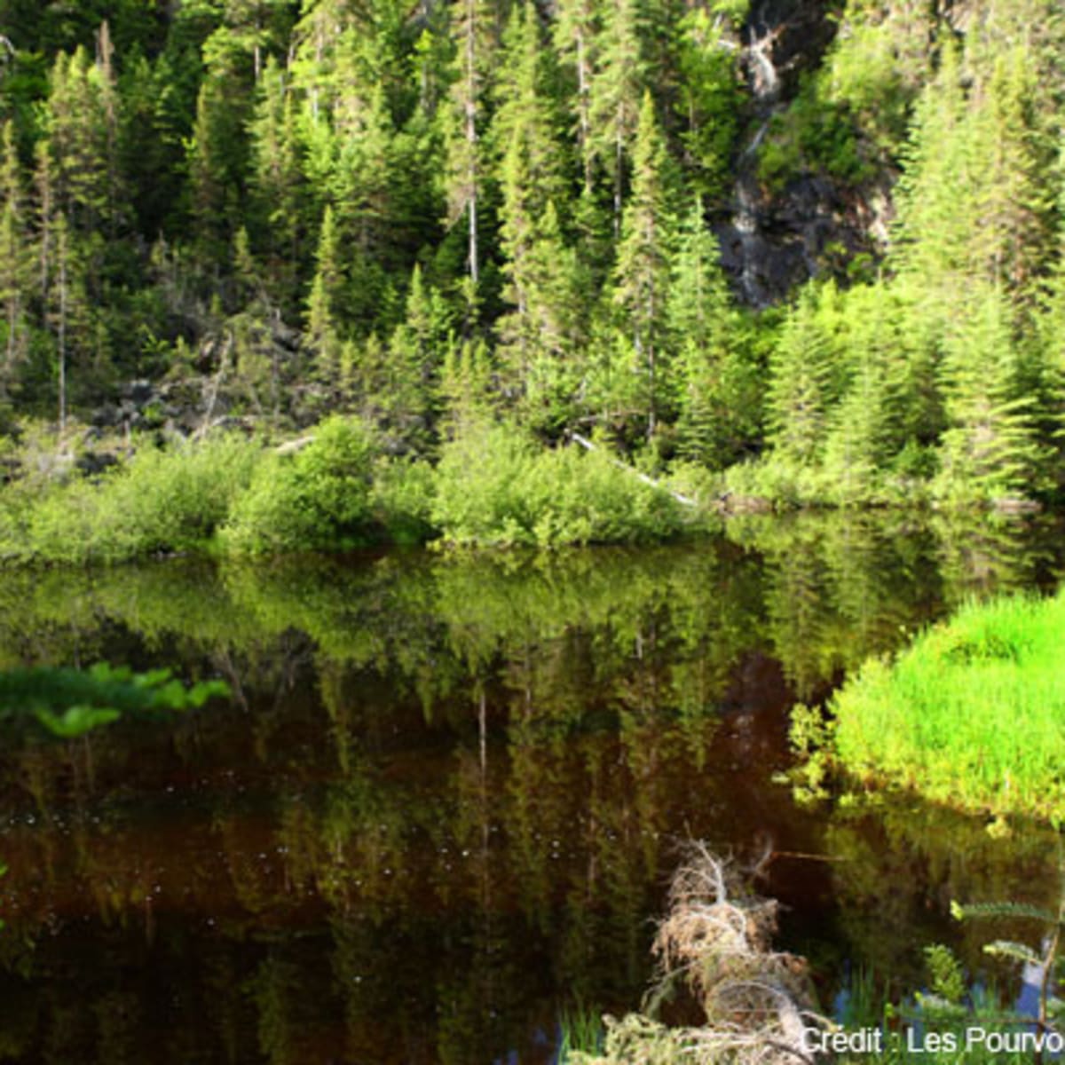 les_pourvoiries_de_charlevoix_11