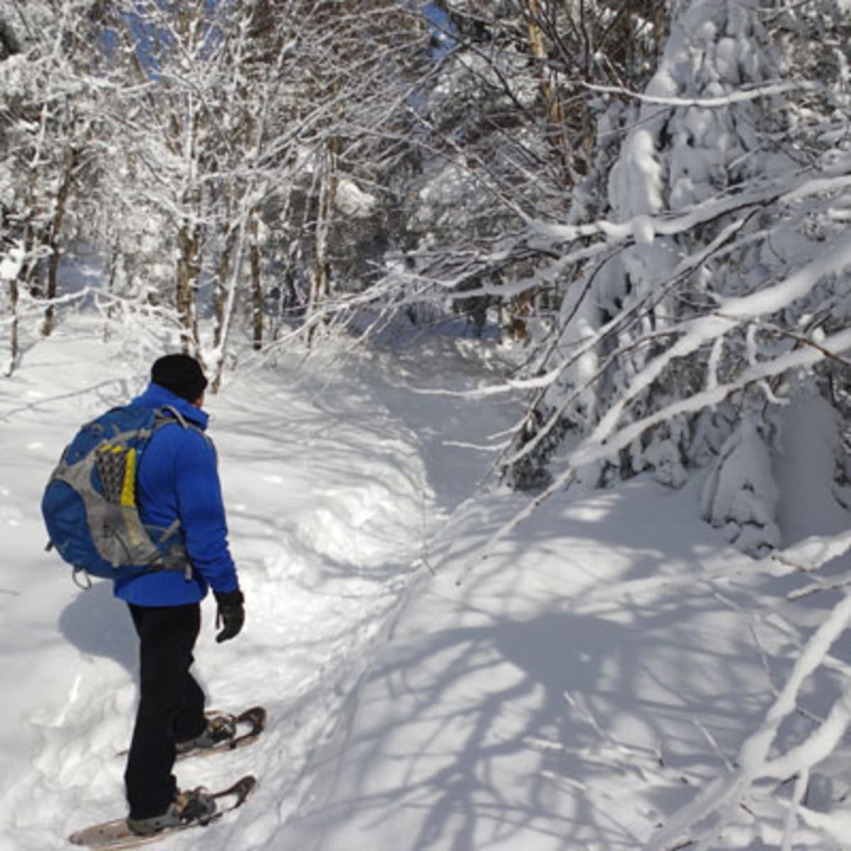 les_sentiers_de_raquette_municipalite_de_saint_donat_1