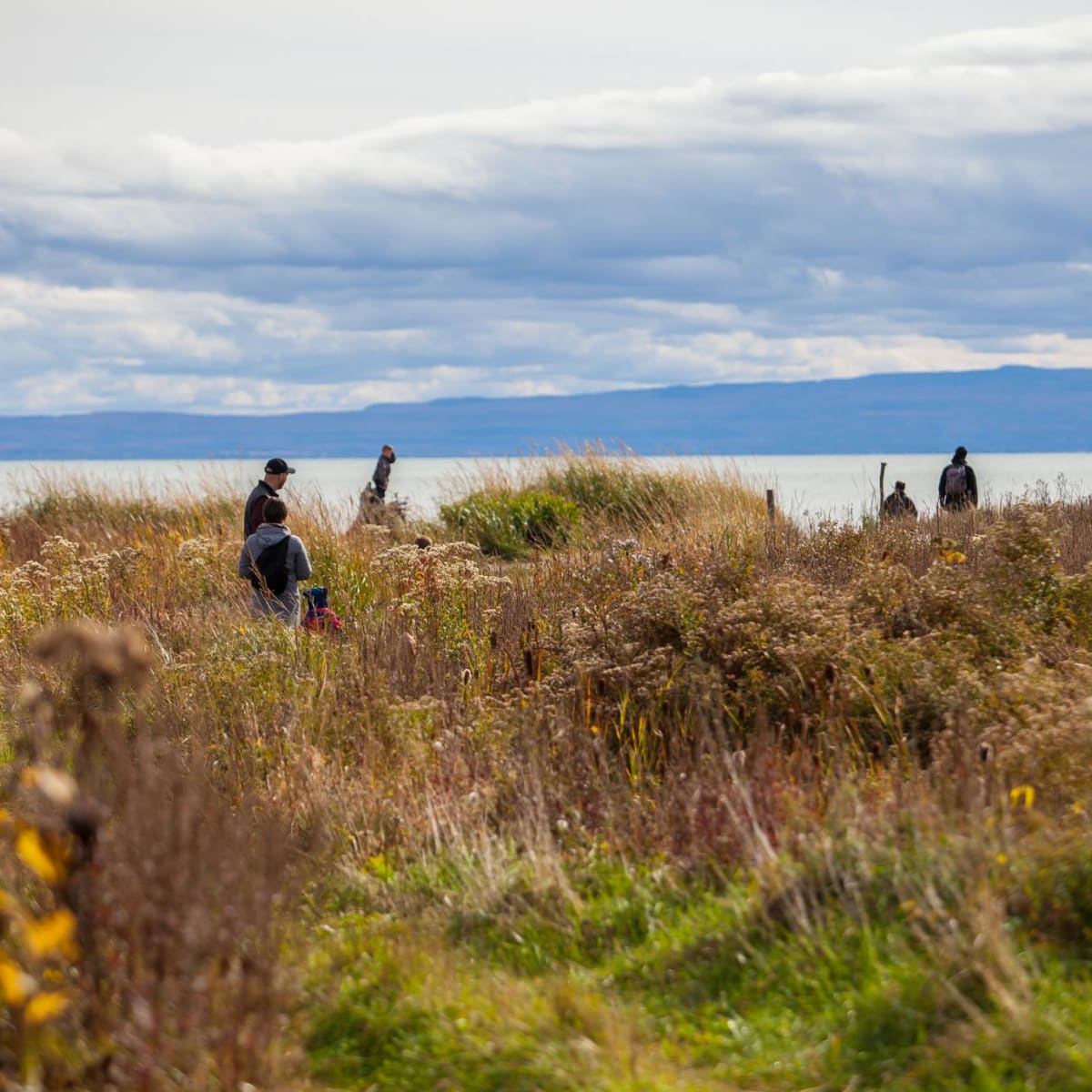 les_sommets_charlevoix___villegiature_2_a