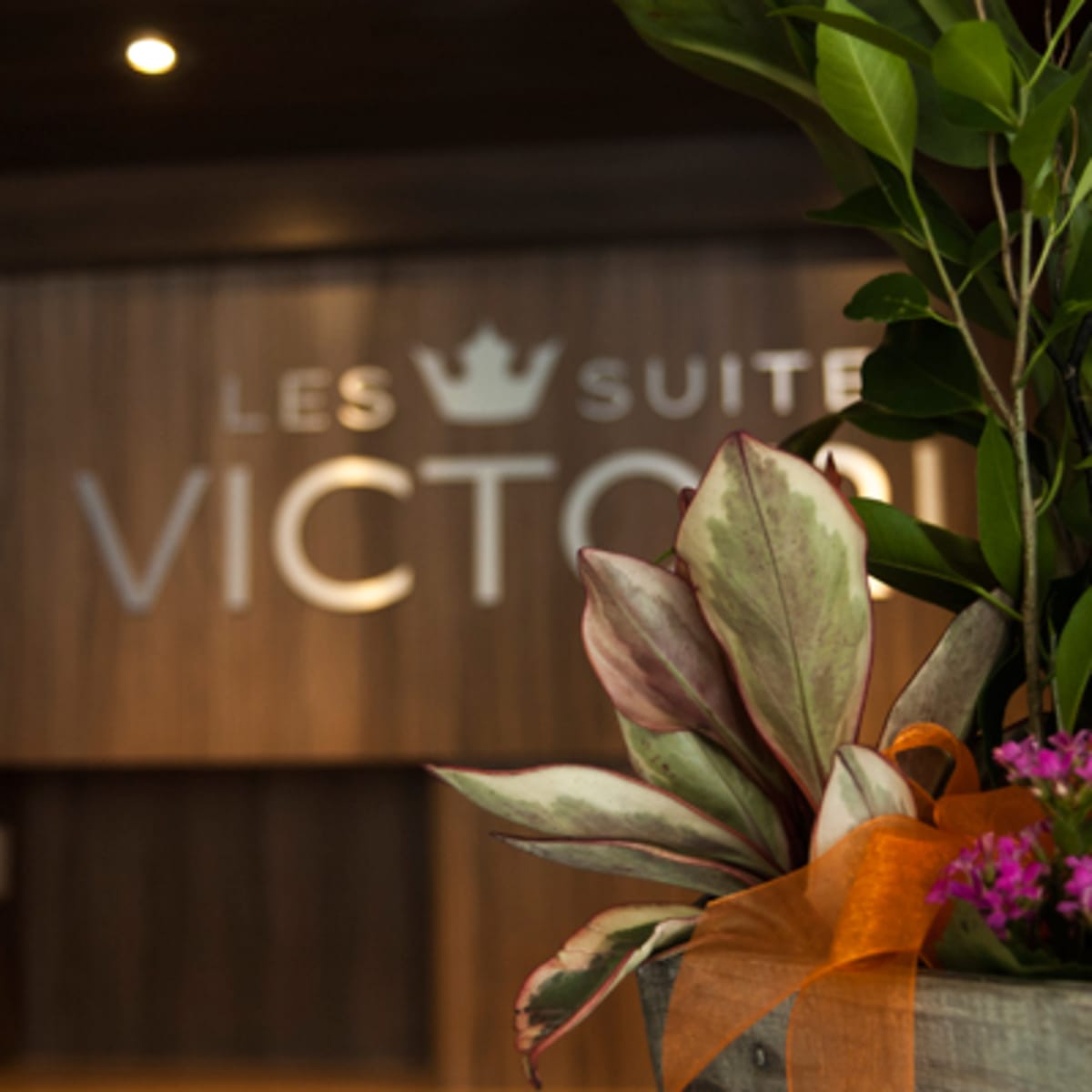les_suites_victoria_2