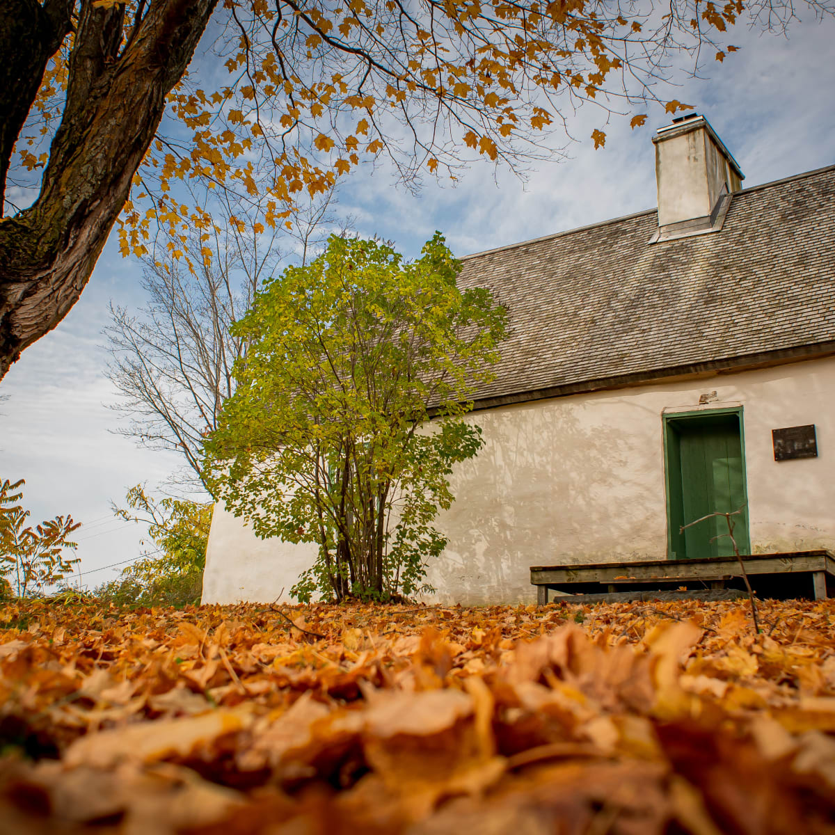 lieux_culturels_de_lile_dorleans_11