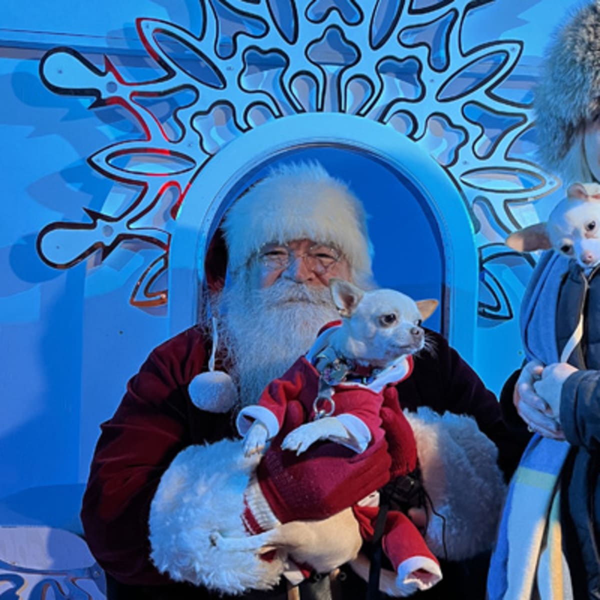 marche_de_noel_allemand_quebec_10