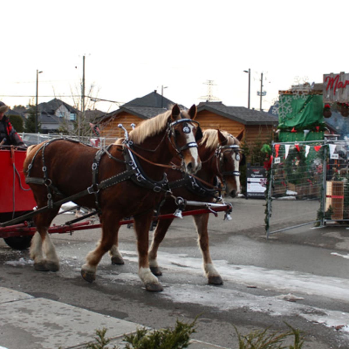 marche_de_noel_de_mirabel_18_h