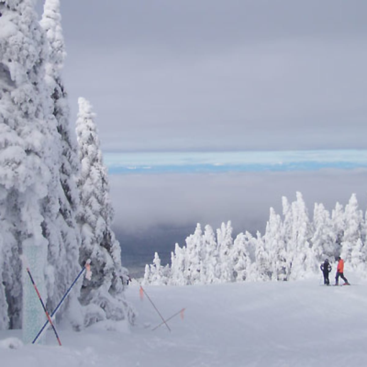 massif_du_sud_18
