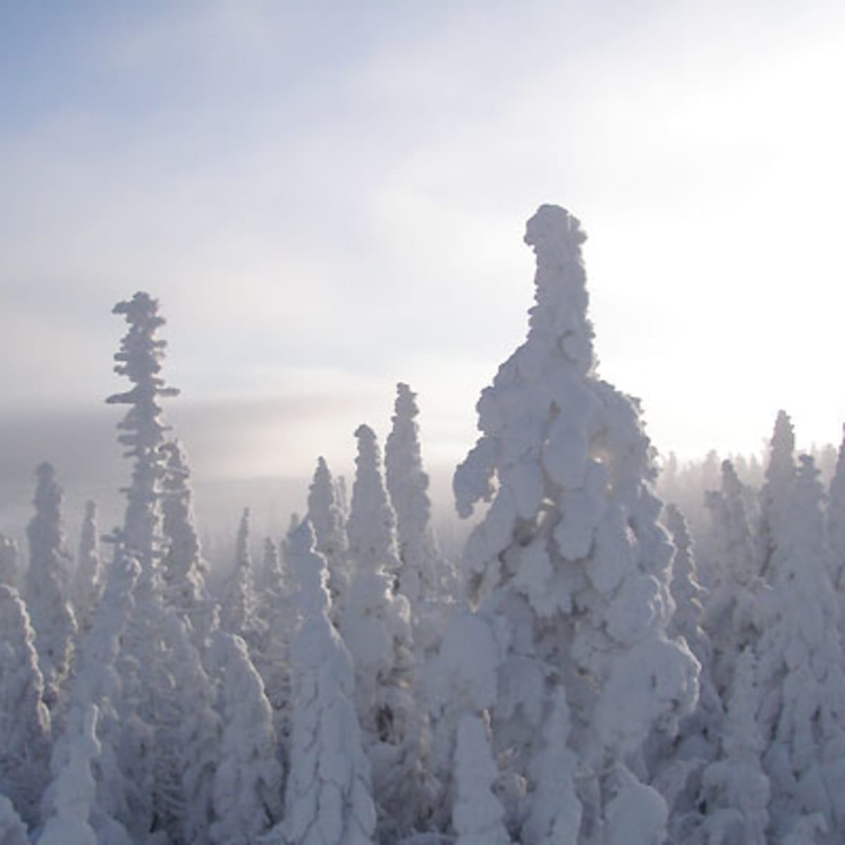 massif_du_sud_19