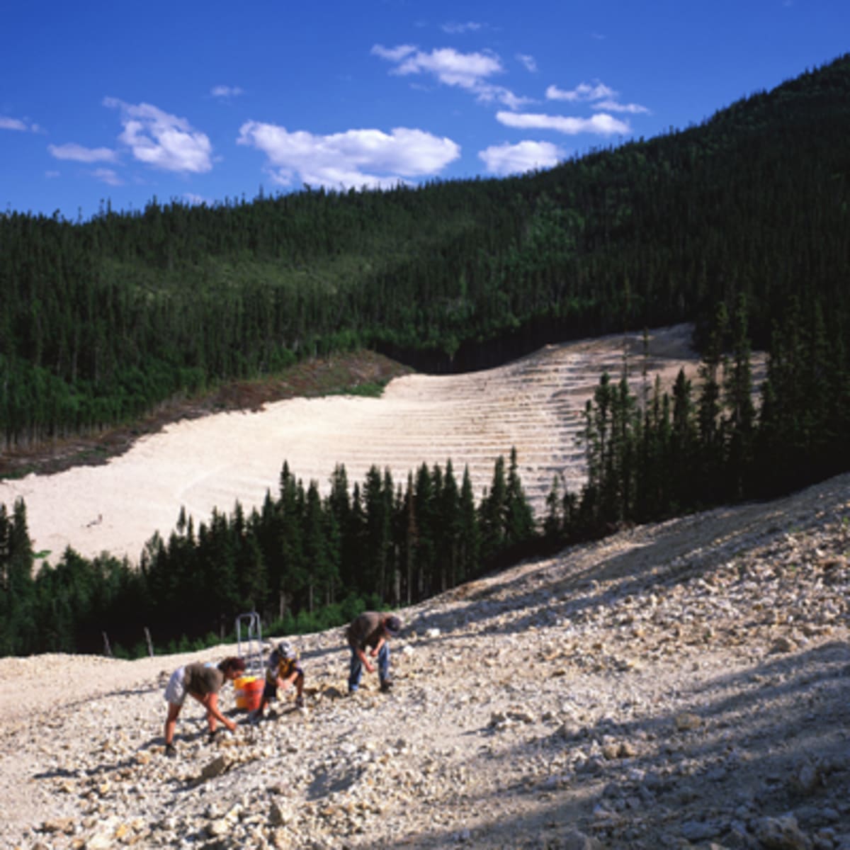 mine_dagates_du_mont_lyall_2