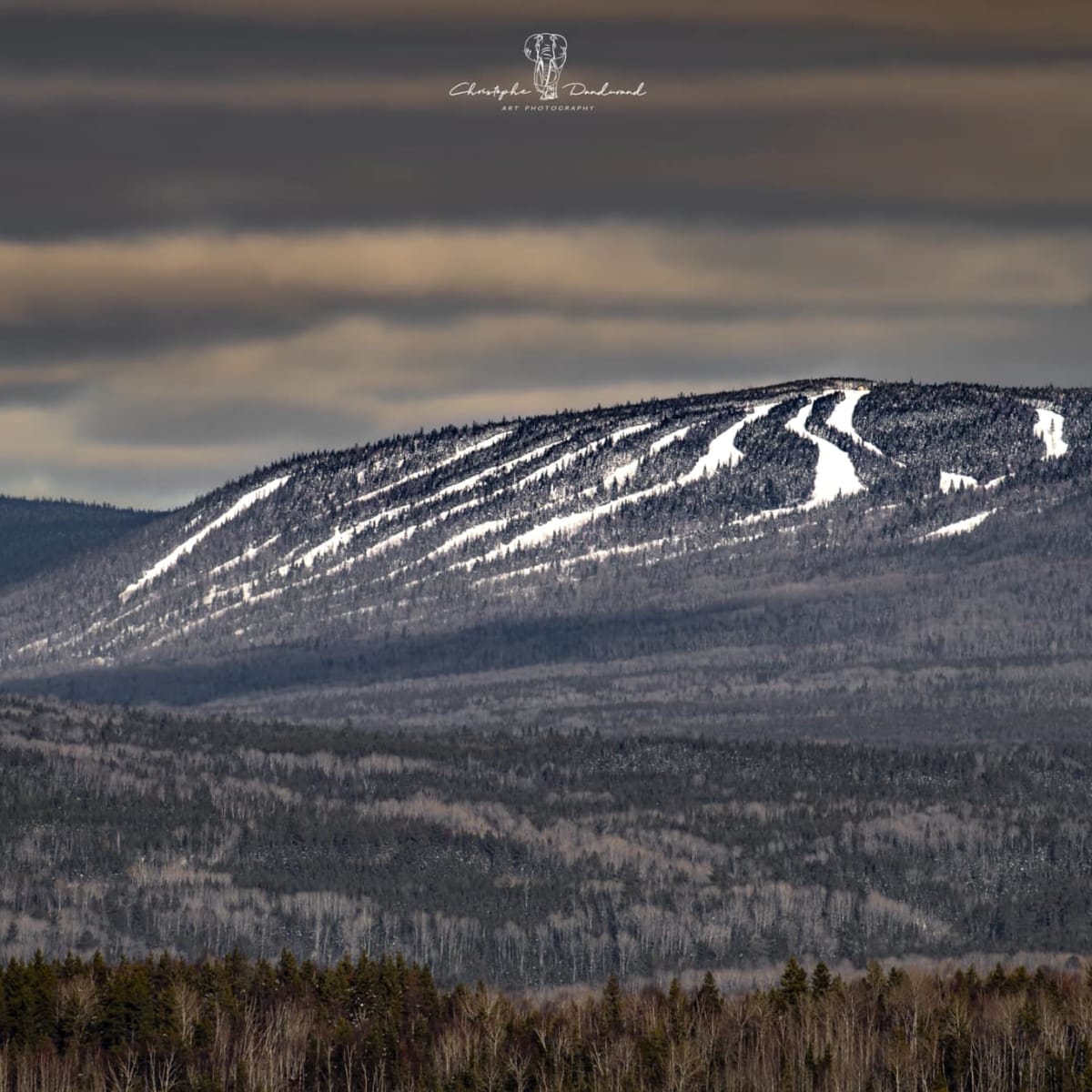 mont_grand_fonds_13_h