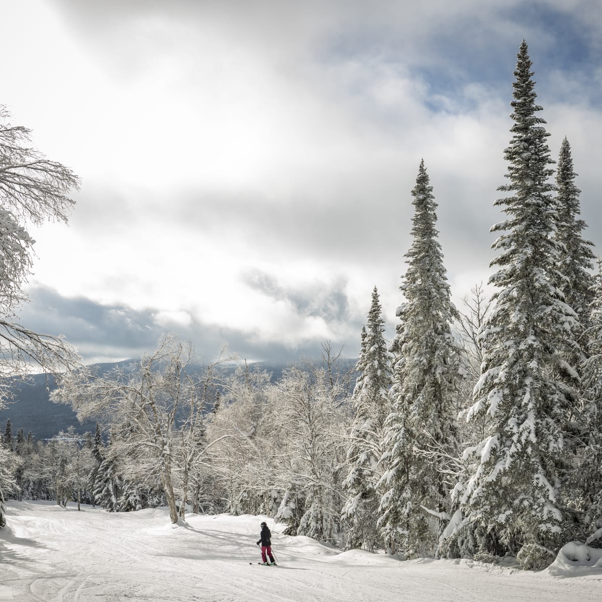 mont_grand_fonds_4_h