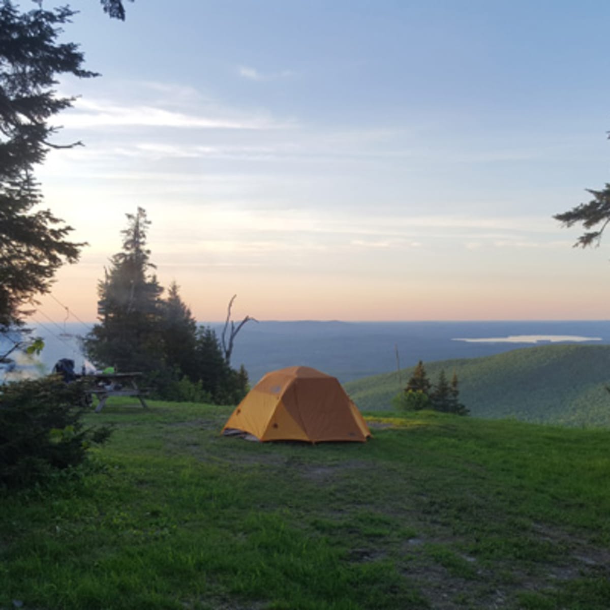 mont_sutton_11