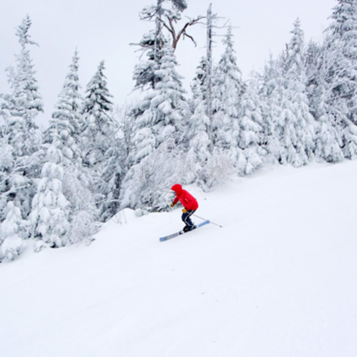 mont_sutton_1_h