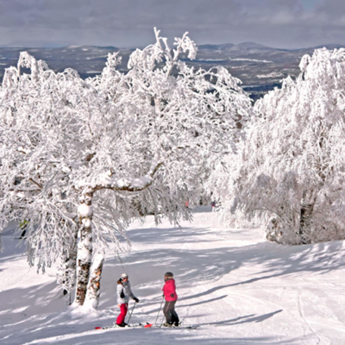 mont_sutton_3_h