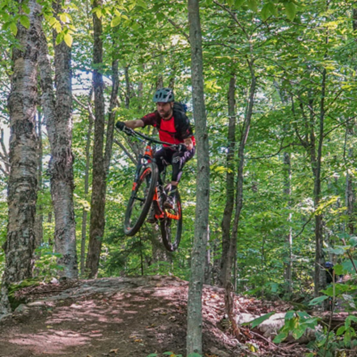 mont_sutton_7