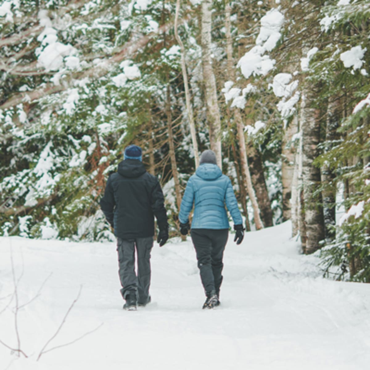 municipalite_de_saint_donat_1_h
