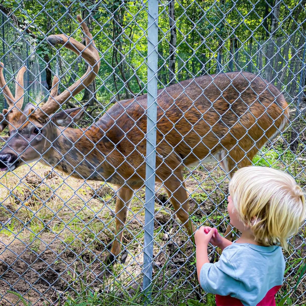 musee_de_la_biodiversite_du_quebec_2