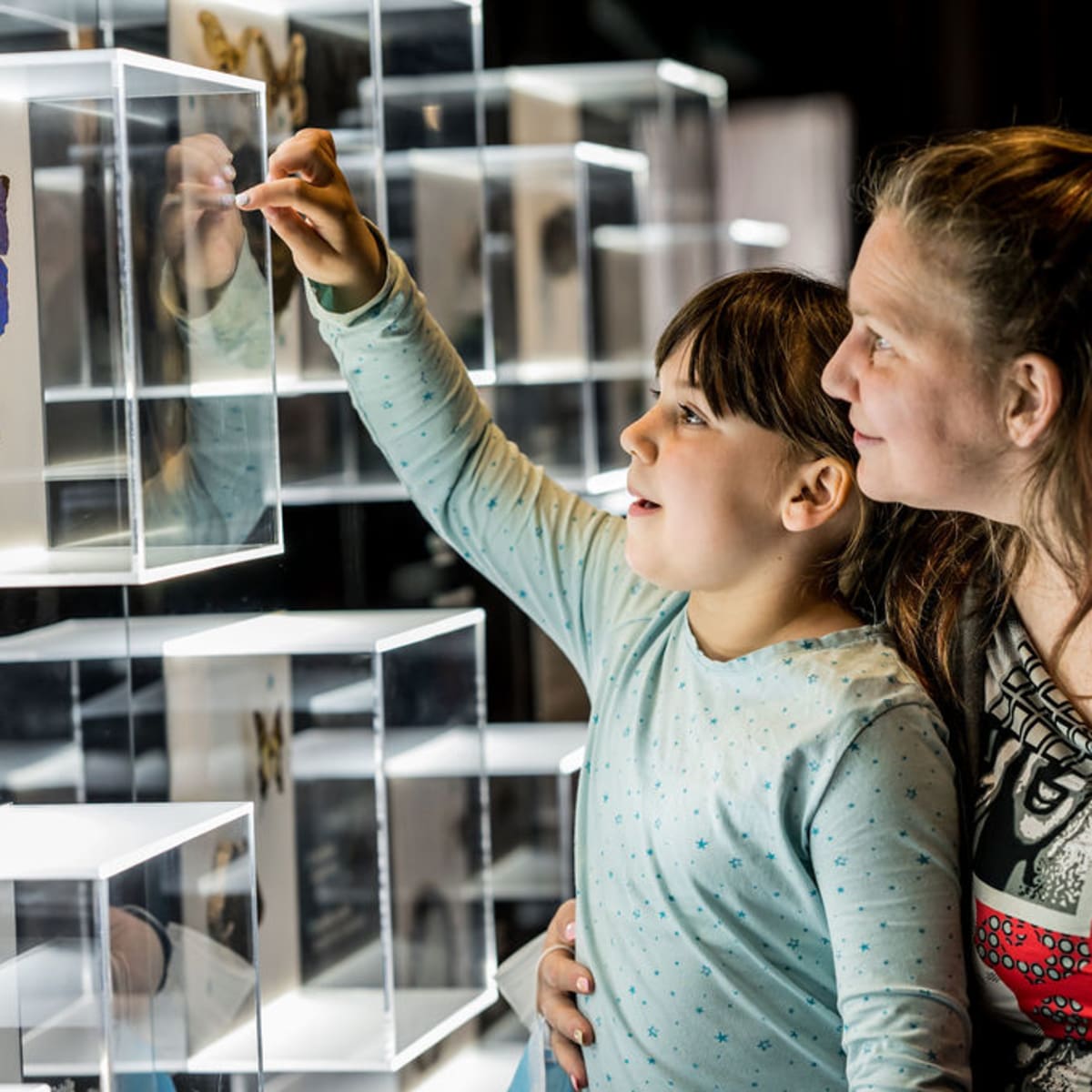 musee_de_la_nature_et_des_sciences_de_sherbrooke_1