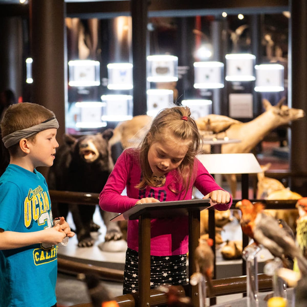 musee_de_la_nature_et_des_sciences_de_sherbrooke_2