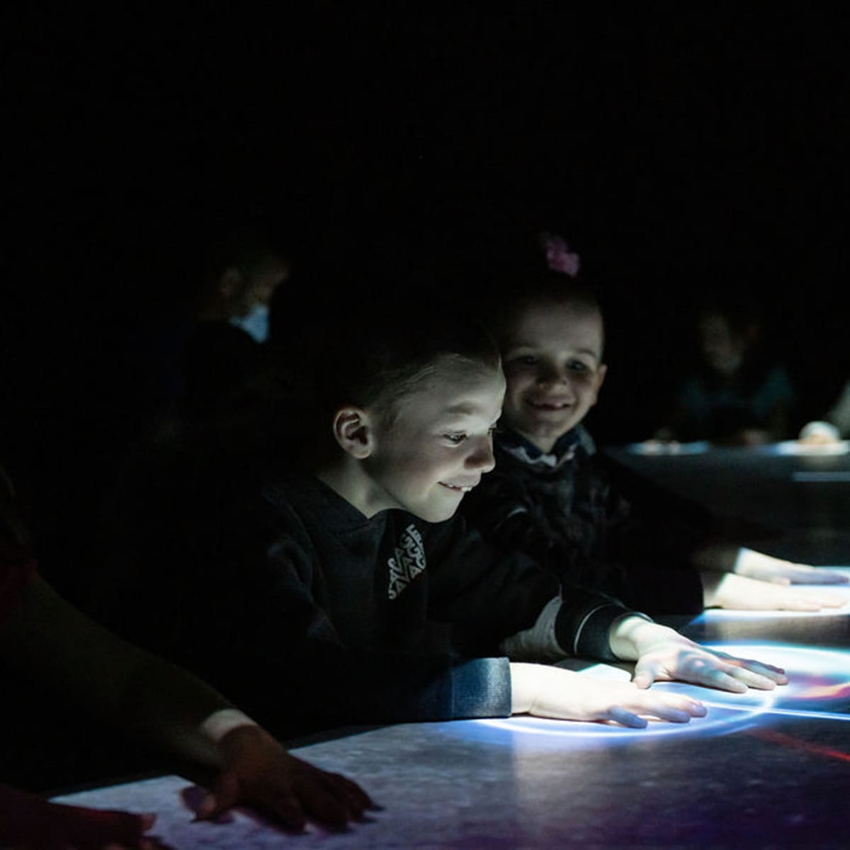 musee_de_la_nature_et_des_sciences_de_sherbrooke_5