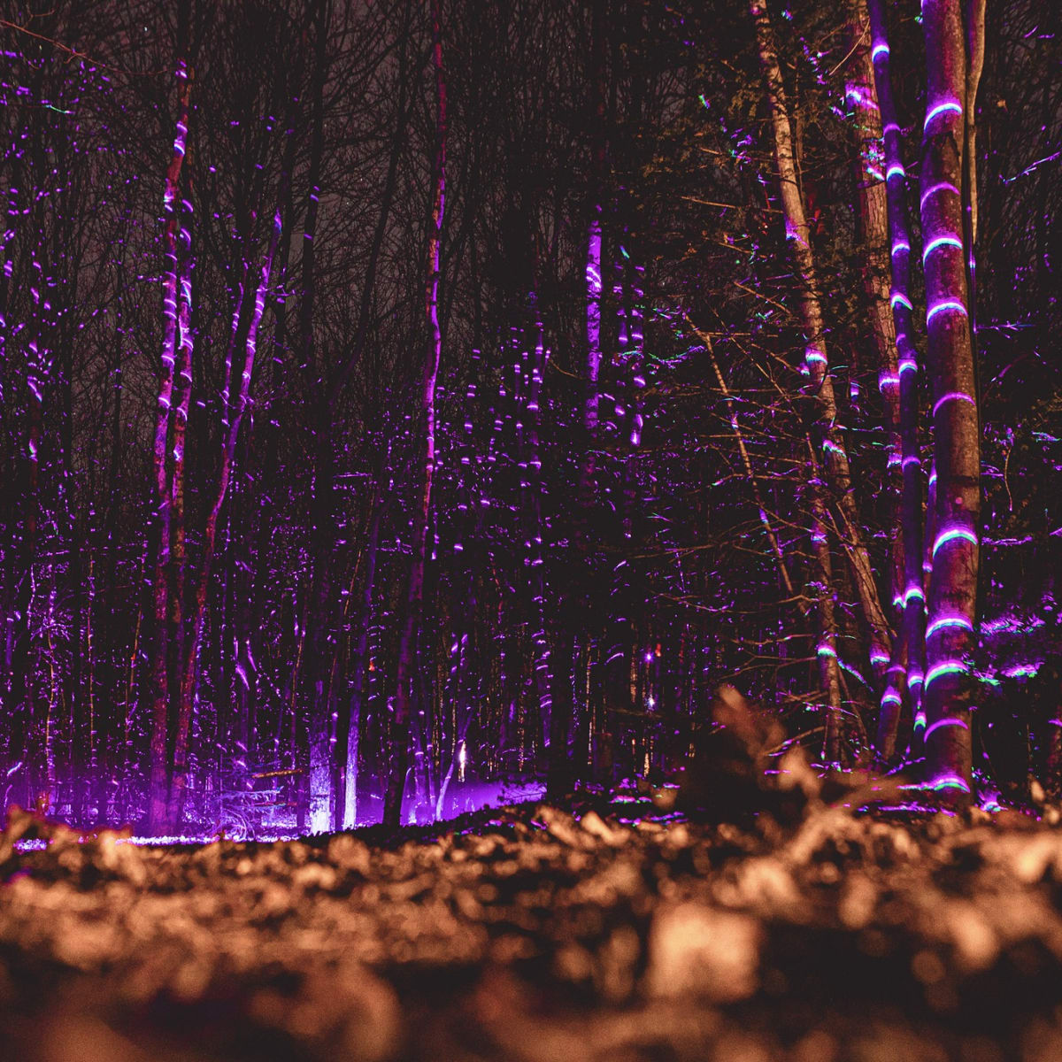 onhwa_lumina_4_h