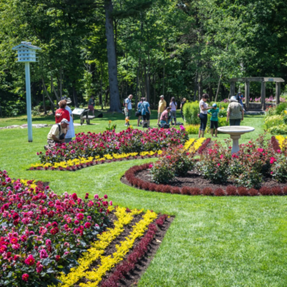 parc_de_la_gatineau_11
