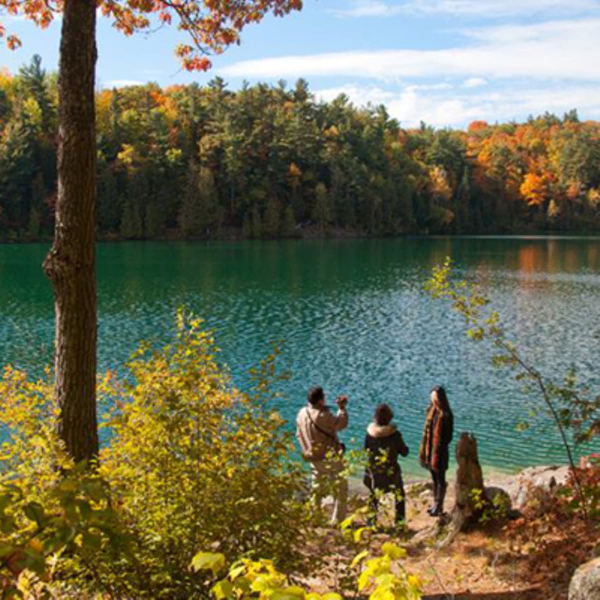 parc_de_la_gatineau_16