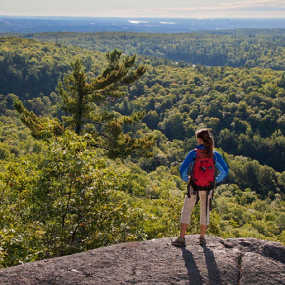 parc_de_la_gatineau_2