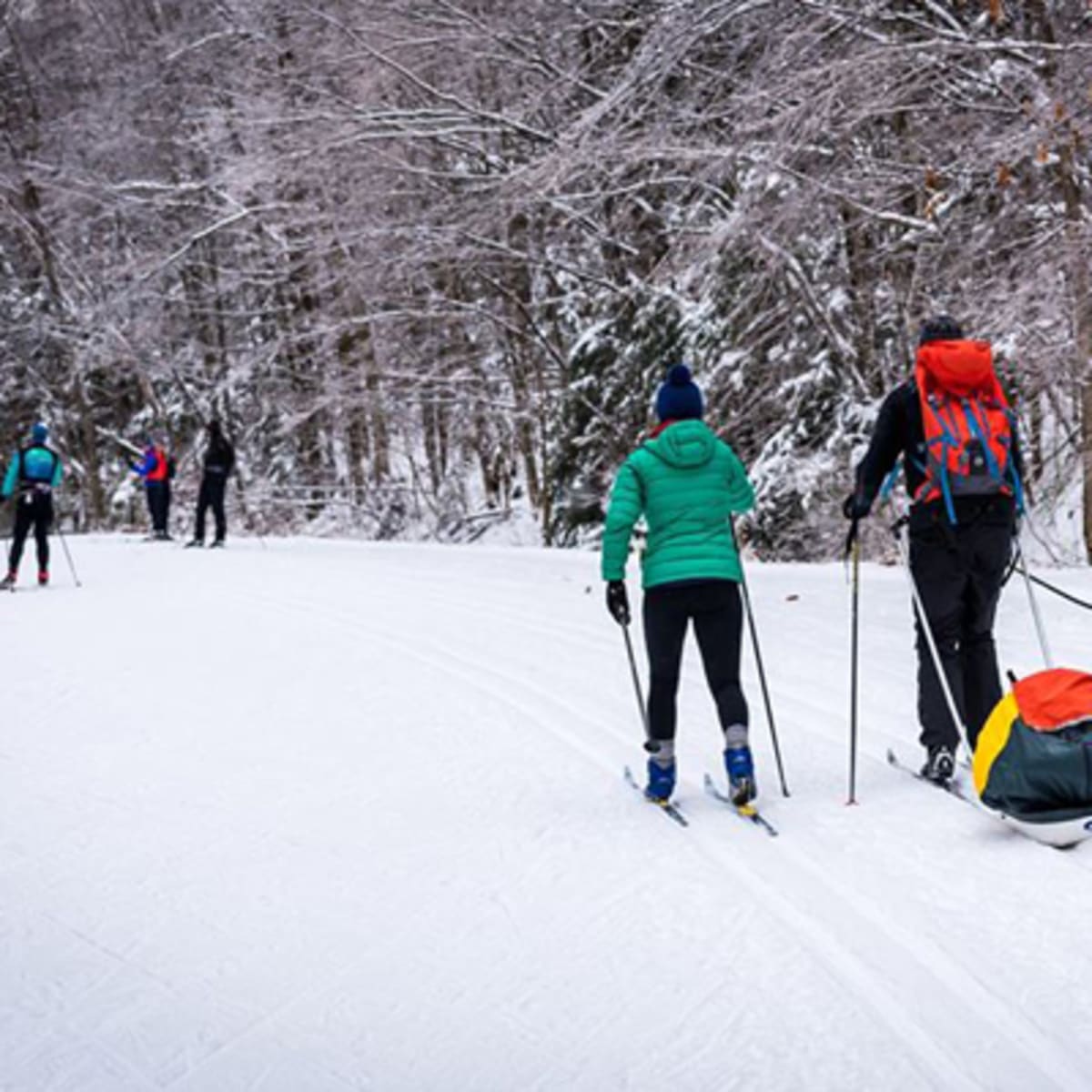 parc_de_la_gatineau_4_h