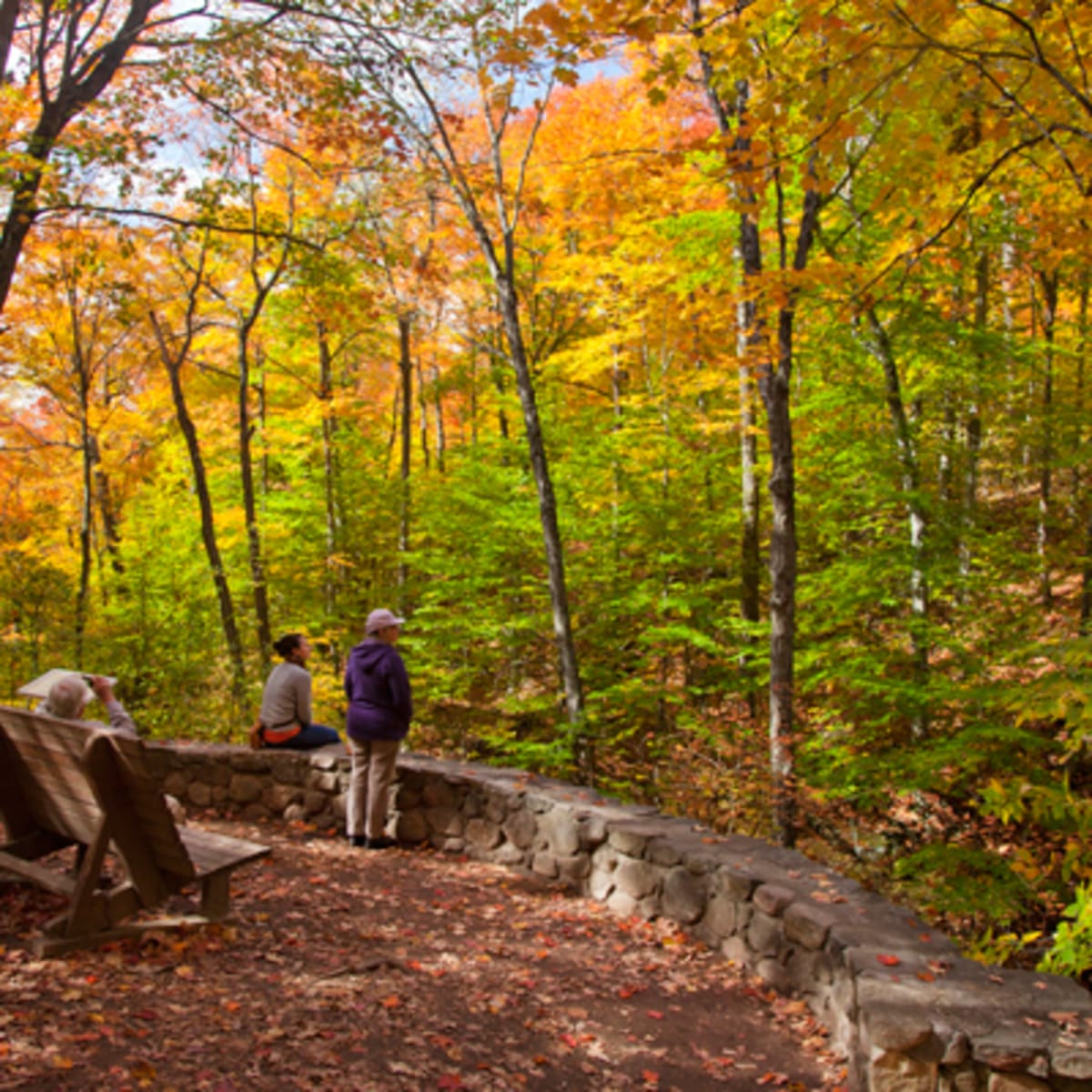 parc_de_la_gatineau_7