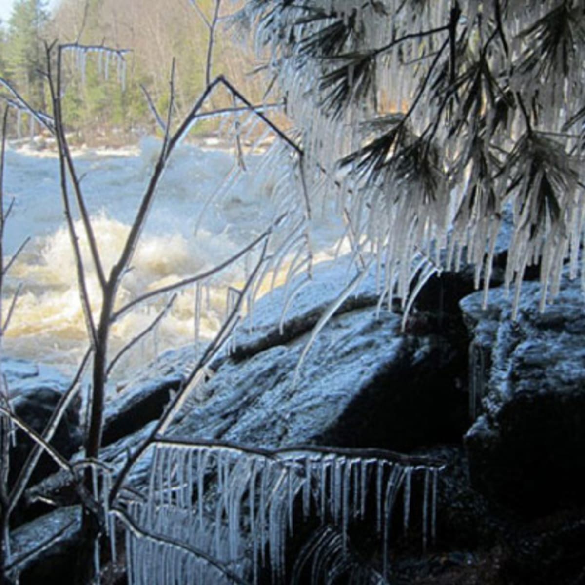 parc_de_la_riviere_batiscan_2_h