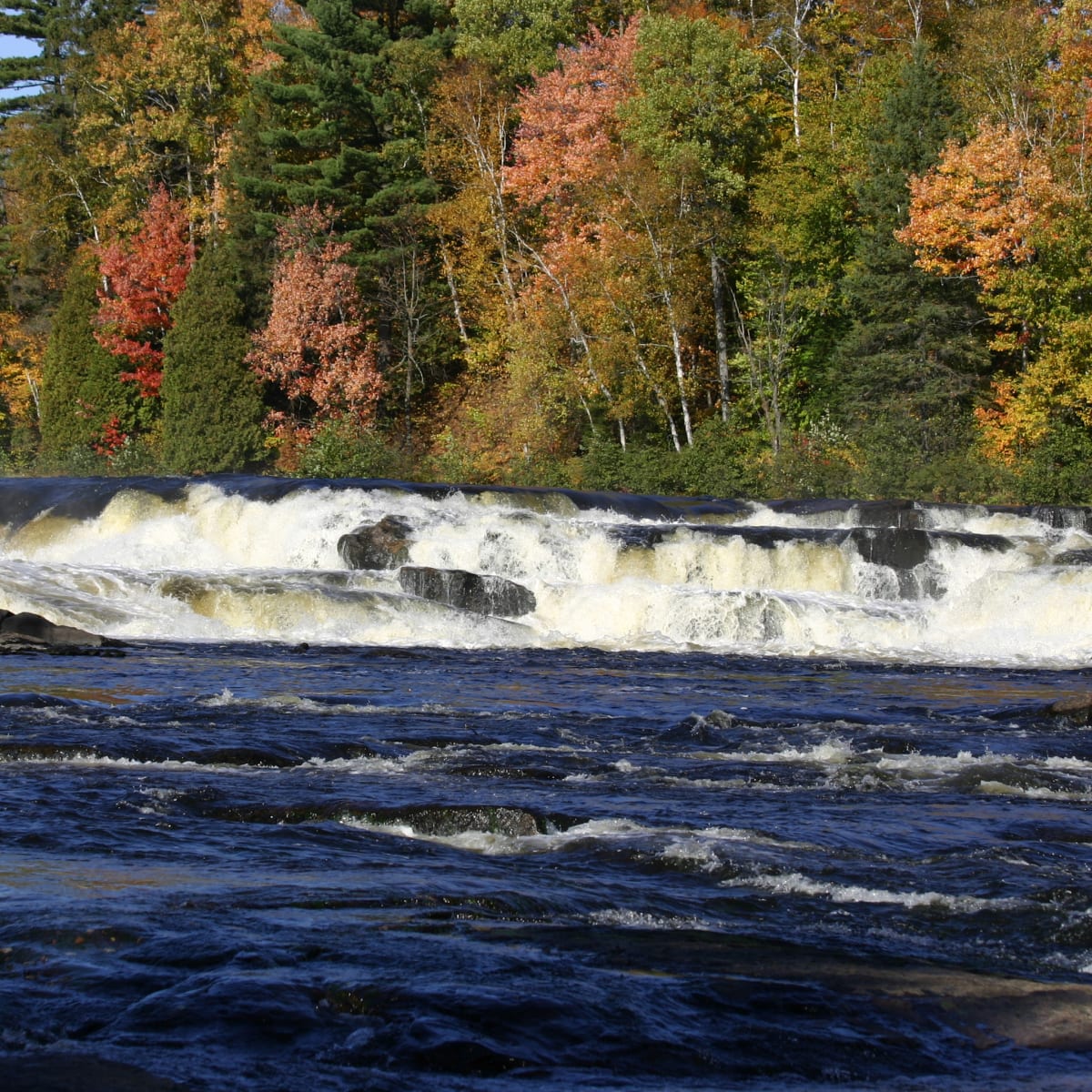 parc_de_la_riviere_batiscan_9_a