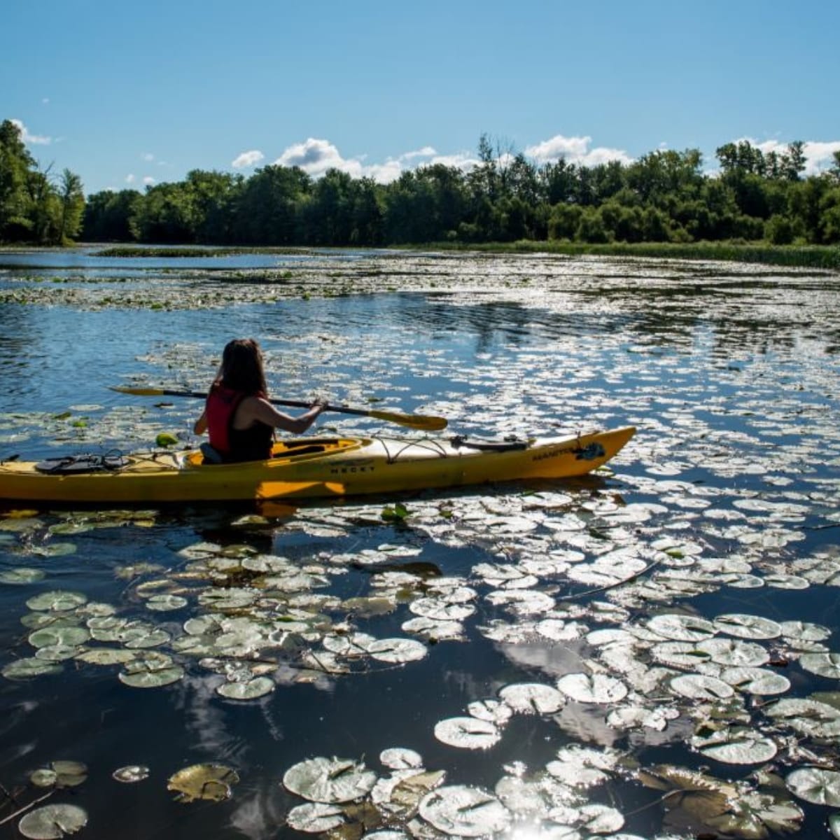 parc_de_la_riviere_des_mille_iles_1