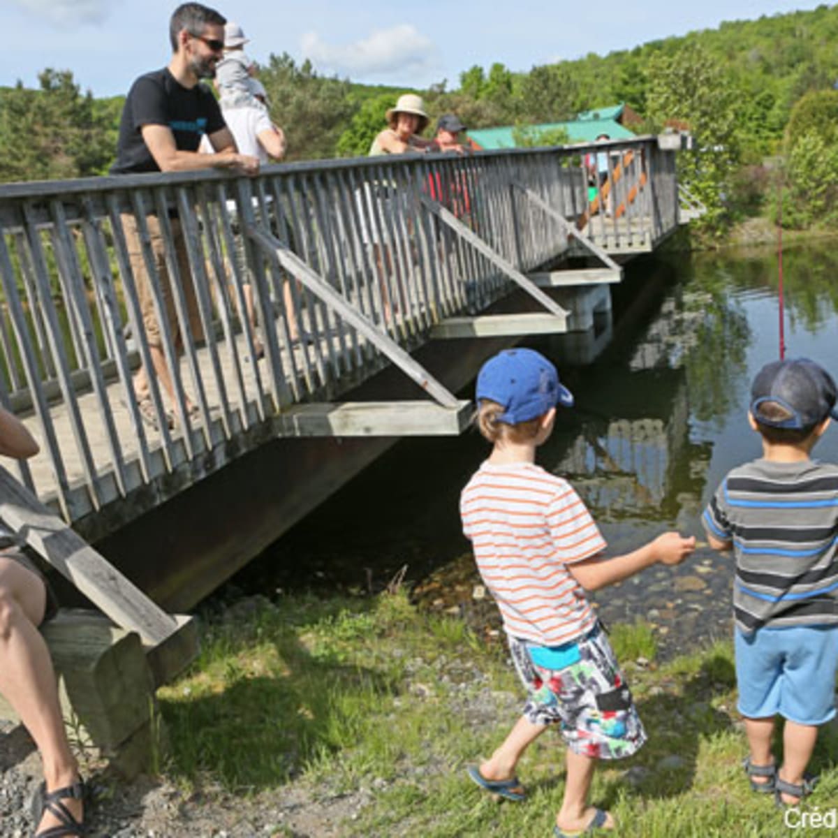 parc_decouverte_nature_coaticook_3