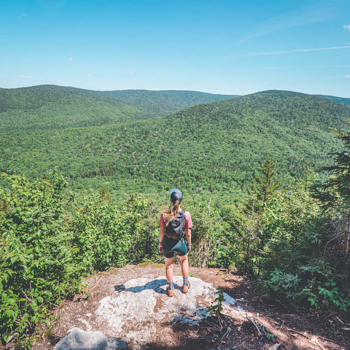 parc_du_massif_du_sud_1