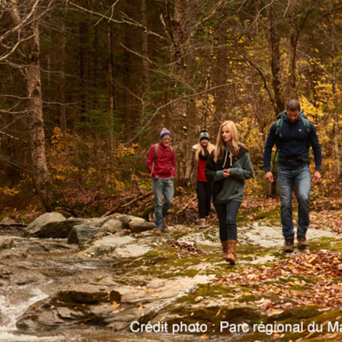 parc_du_massif_du_sud_1_a