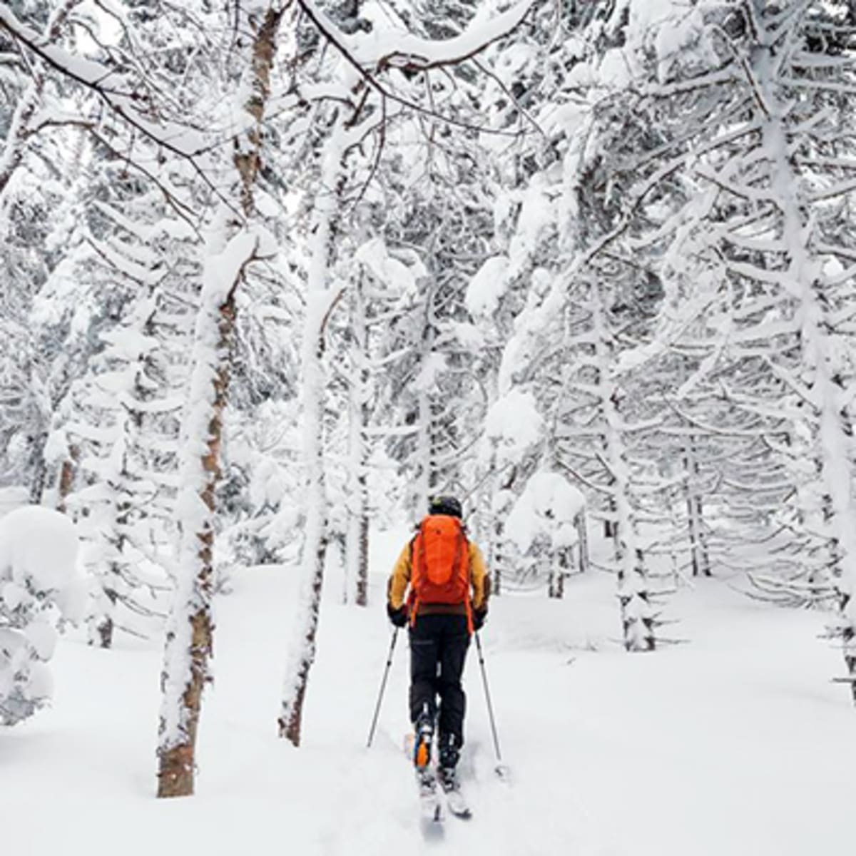 parc_du_massif_du_sud_1_h