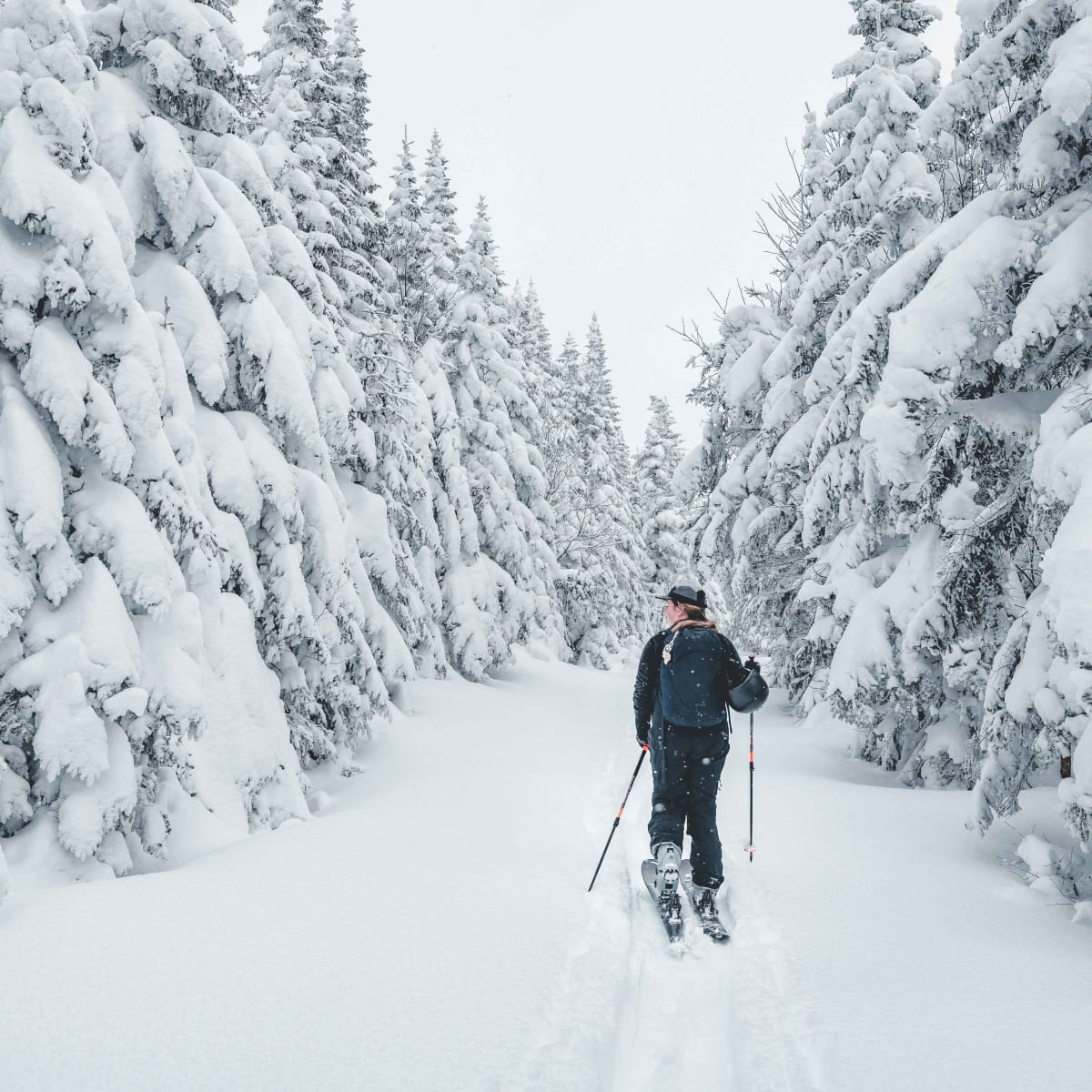 parc_du_massif_du_sud_3_h