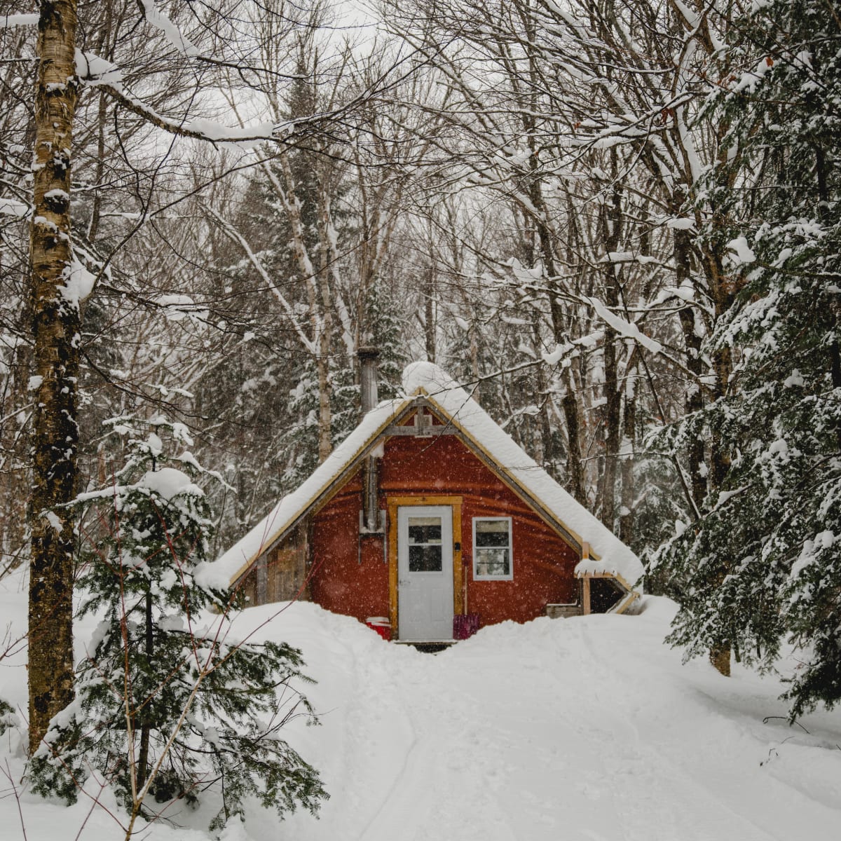 parc_du_massif_du_sud_4_h