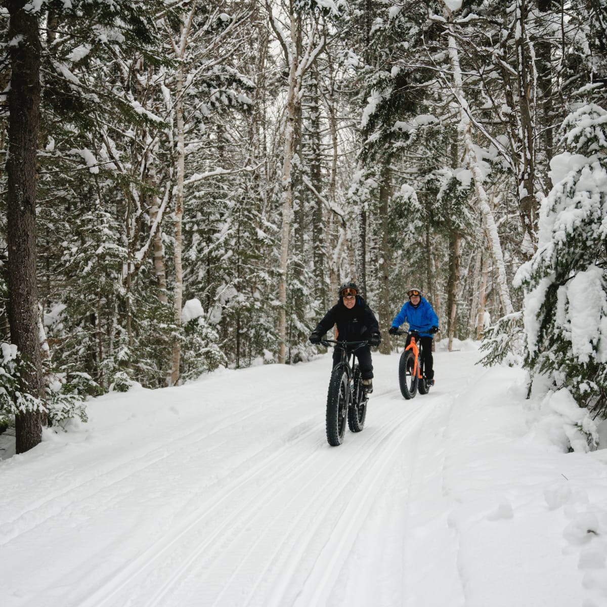 parc_du_massif_du_sud_5_h