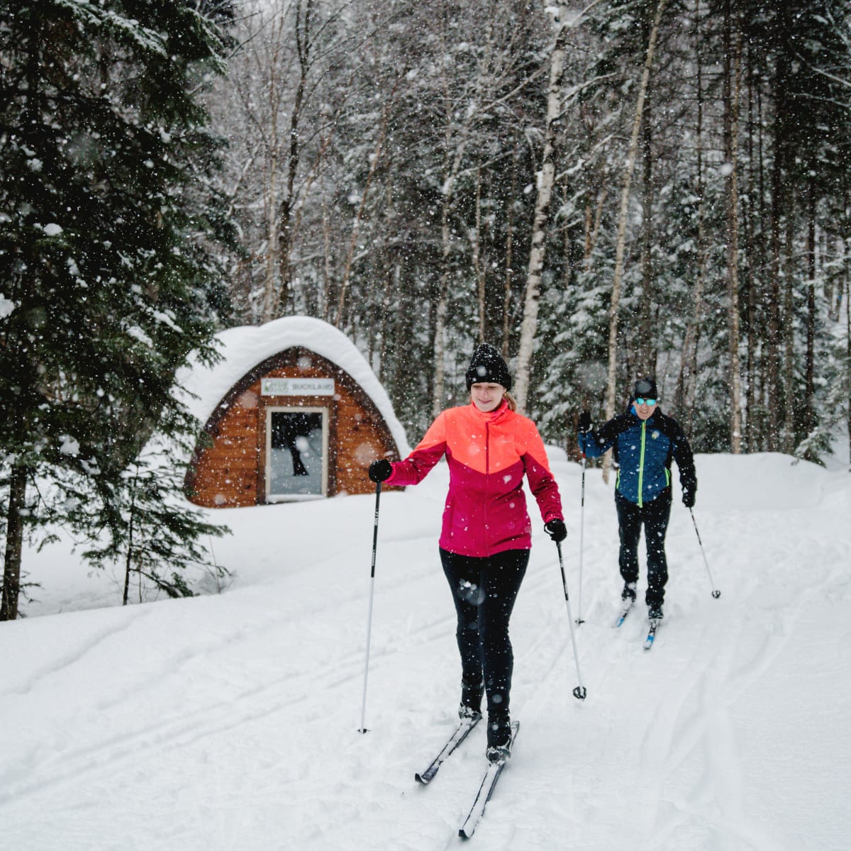 parc_du_massif_du_sud_6_h