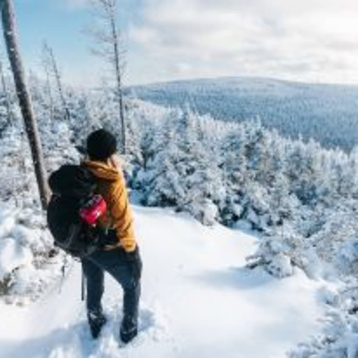 parc_du_massif_du_sud_7_h