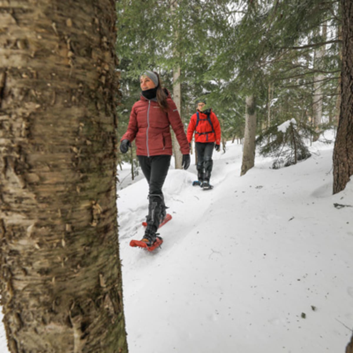 parc_du_mont_bellevue_1_h