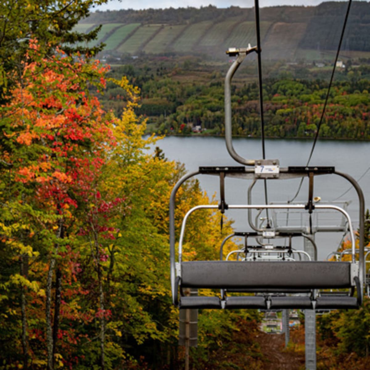 parc_du_mont_saint_mathieu_1_a