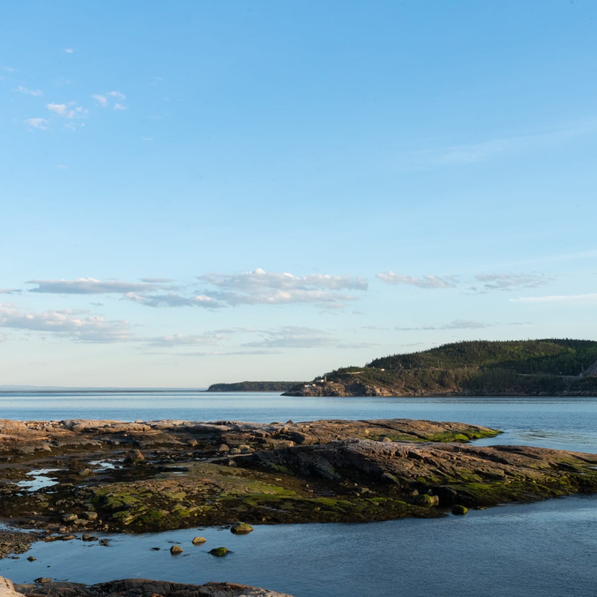 parc_marin_du_saguenaysaint_laurent_7