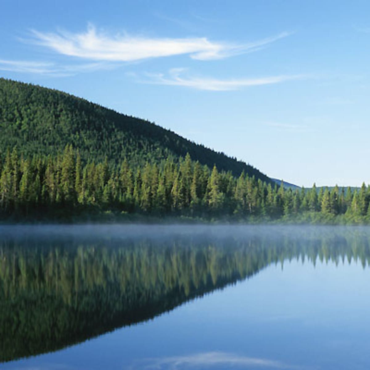 parc_national_de_la_gaspesie_2