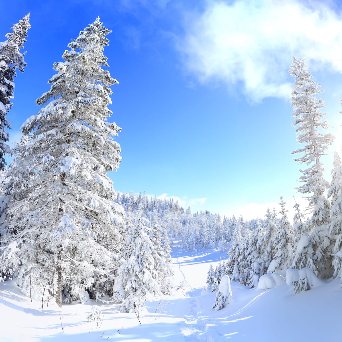 parc_national_des_monts_valin_1_h