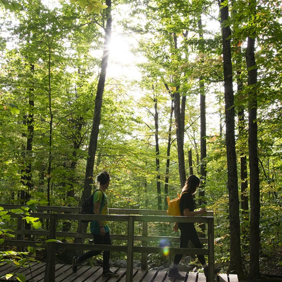 parc_national_du_mont_orford_1